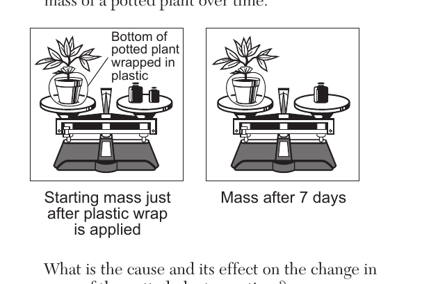 earth question 8 figure