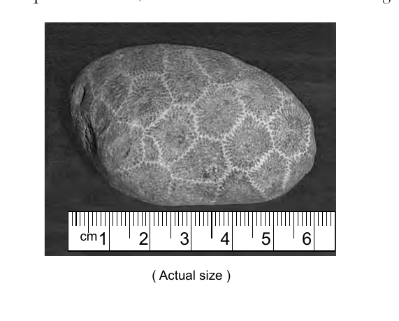 earth question 50 figure