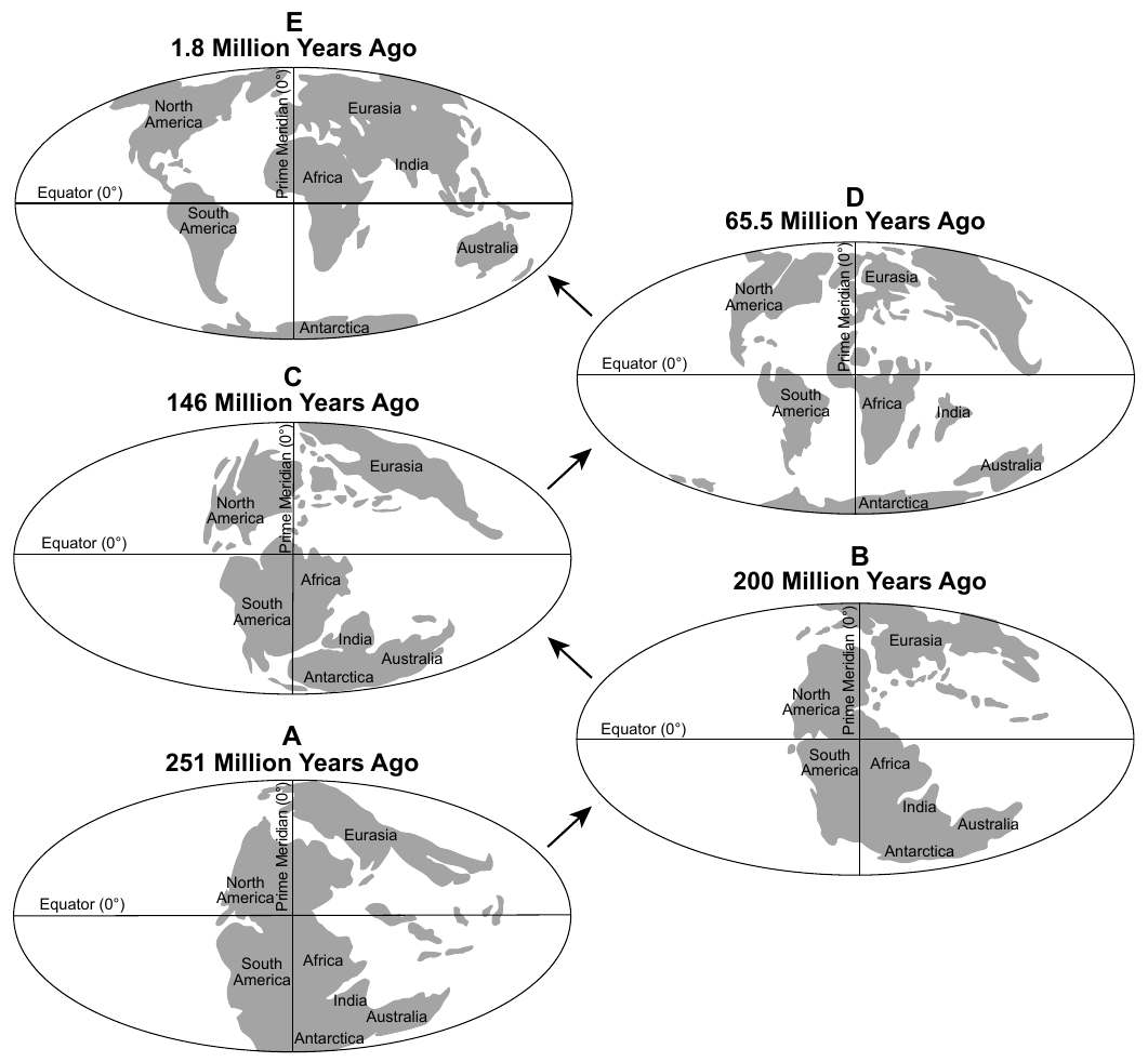 earth question 44 figure