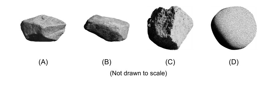earth question 81 figure
