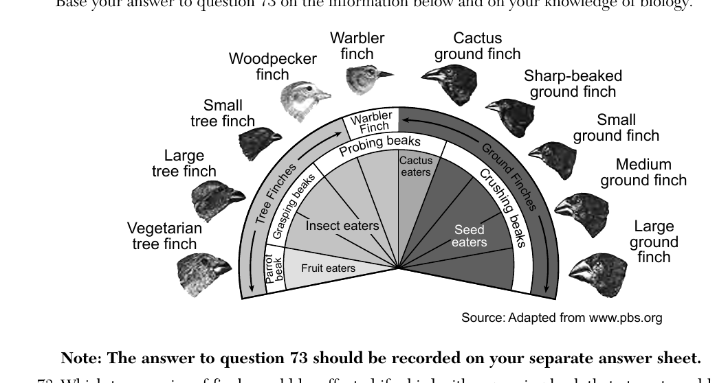 live question 73 figure