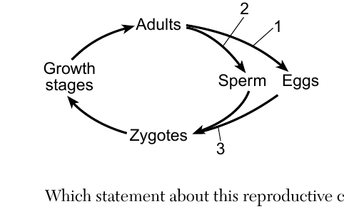 live question 17 figure