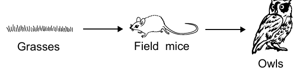 live question 23 figure