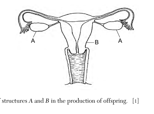 live question 53 figure