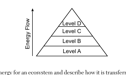 live question 56 figure