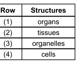live question 7 figure