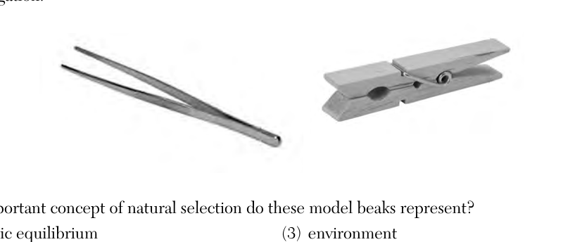 live question 81 figure