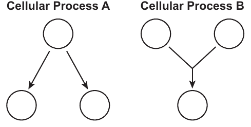 live question 16 figure