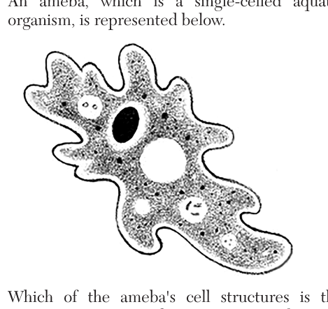 live question 25 figure
