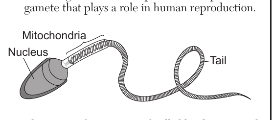 live question 26 figure