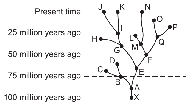 live question 44 figure