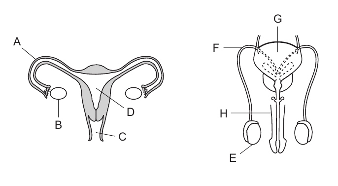 live question 51 figure