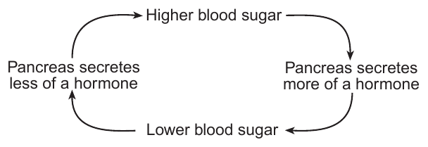 live question 66 figure