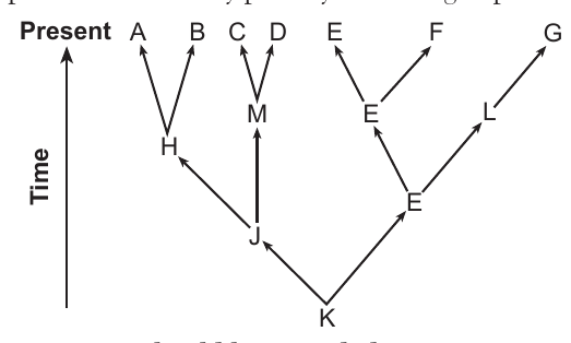 live question 77 figure