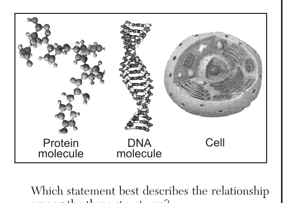 live question 7 figure